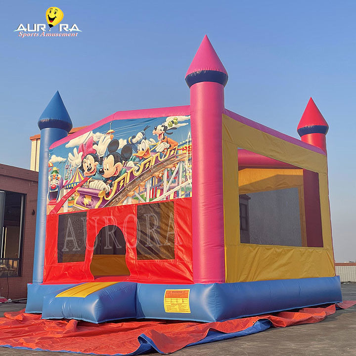 Outdoor-Kommerzielle aufblasbare Türsteher PVC Farbenfrohe Erwachsene Kinder Springschloss