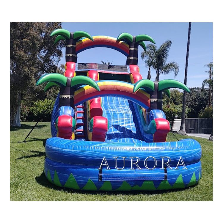 Bouncy Riese Aufblasbare Wasserrutsche Für Erwachsene Nasse Trockene Pool Wasserrutschen 18ft