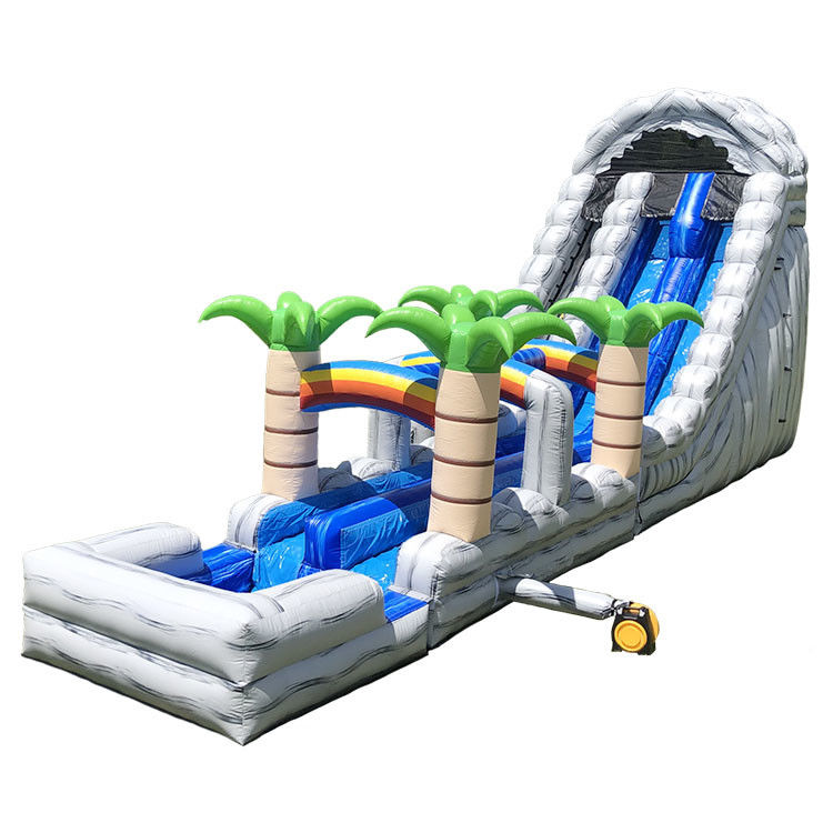 Wasser aufblasbare Rutsche Sprungrutsche Party Pvc 18ft Delphin Wasserrutsche Für Pool