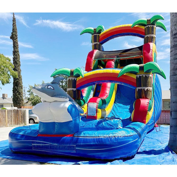 Wasser aufblasbare Rutsche Sprungrutsche Party Pvc 18ft Delphin Wasserrutsche Für Pool